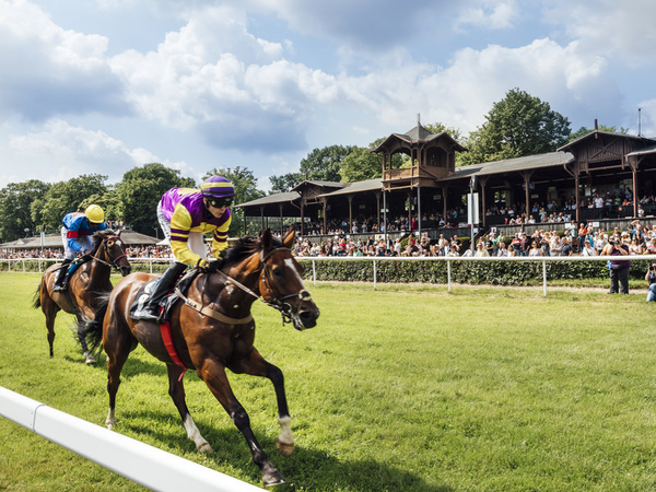 Galopprennbahn, Foto: Pixabay Thomas Roetting Galopprennbahn, Foto: Pixabay Thomas Roetting