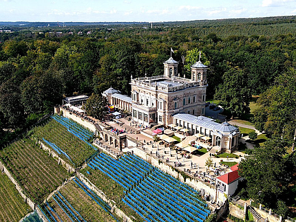 Trödelmarkt am Lingnerschloss lädt zum Stöbern und Entdecken ein