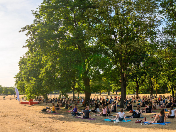 Yoga beim Palais Sommer im Alaunpark Yoga beim Palais Sommer im Alaunpark