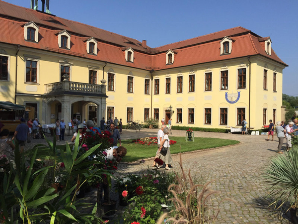 Wein- Antik und Gartenmarkt Schloss Proschwitz, Foto: Jörg Korczynsky