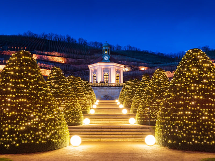 „Wein & Licht“ auf Schloss Wackerbarth