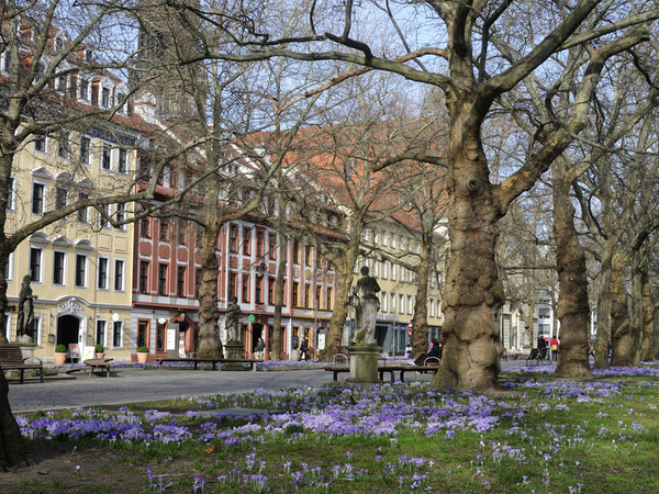 Barockviertel Hauptstraße, Foto: Michael R.Hennig DML-BY Barockviertel Hauptstraße, Foto: Michael R.Hennig DML-BY