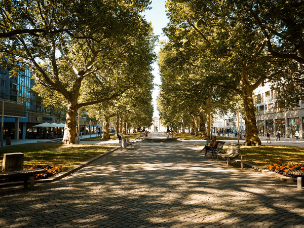 Hauptstraße - Genießerboulevard Dresden, Foto: Michael R. Hennig (DML-BY)