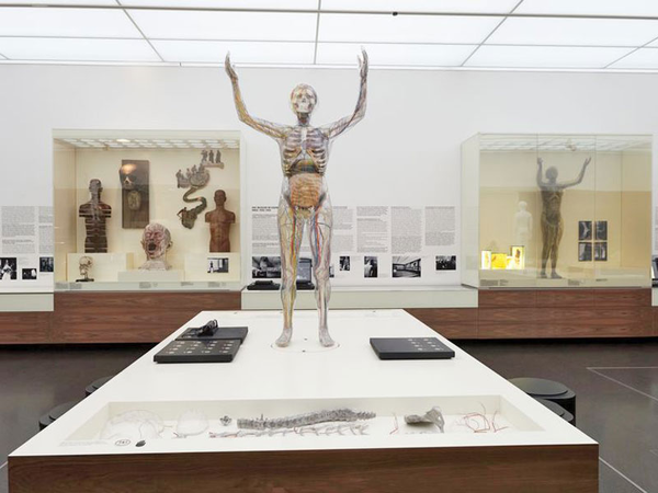 Dauerausstellung "Abenteuer Mensch" im Hygienemuseum Dresden: Blick in den Raum "Der Gläserne Mensch", Foto: Jörg Gläscher Dauerausstellung "Abenteuer Mensch" im Hygienemuseum Dresden: Blick in den Raum "Der Gläserne Mensch", Foto: Jörg Gläscher