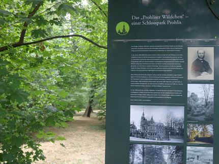 Archaeo-Pfad Dresden: Neue Infostele zum Schloss Prohlis